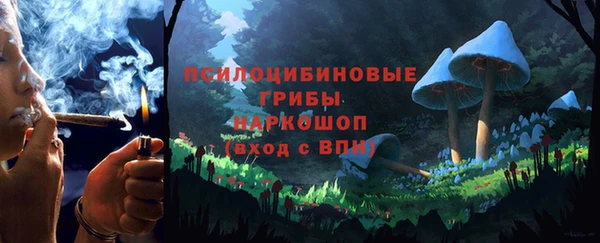 прущие крисы Горно-Алтайск