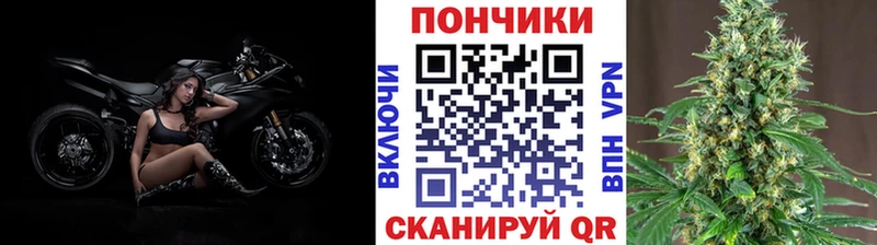 Бошки марихуана марихуана  Купить закладки  Асино 